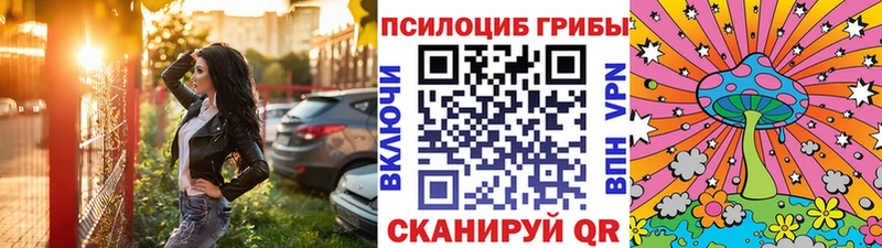 продажа наркотиков  Находка  Псилоцибиновые грибы Psilocybe 